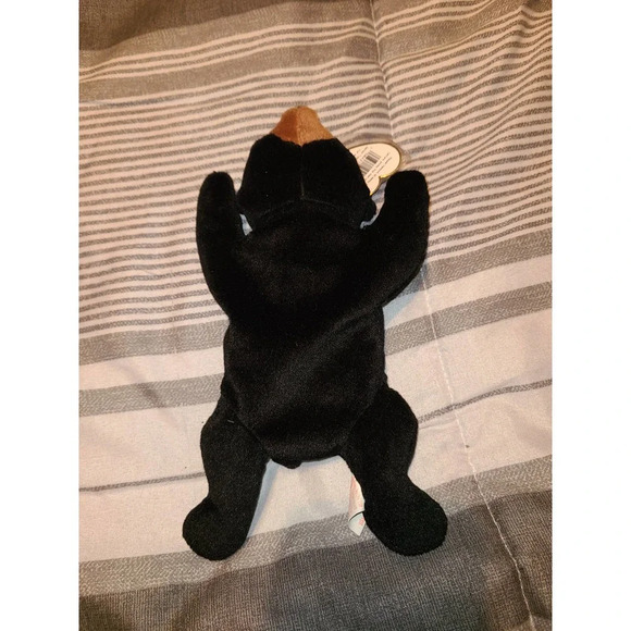 Ty Beanie Baby Collection Blackie The Bear Soft Stuffed Kids Plush Toy - Picture 1 of 4